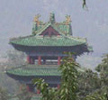 Делегация из губернии посетит буддийский монастырь Шаолинь