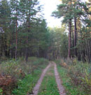 В Тольятти отдыхающим перегородили путь в лес