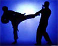 В Тольятти проходит I Форум боевых искусств Востока