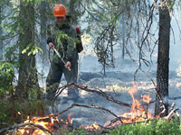 В Самарской области вновь возникают очаги пожаров
