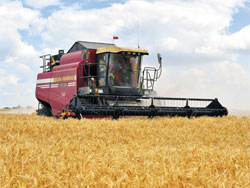В Самарской области собрали более 1,6 миллионов тонн зерна 