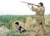 В лесах Самарской области охотиться запрещено 