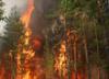 Распространение лесного пожара под Тольятти приостановлено