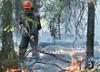 В Самарской области вновь возникают очаги пожаров