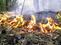 В Самарской области количество природных пожаров пошло на убыль