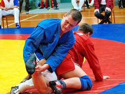 В Тольятти завершился 19-й турнир по самбо памяти Владимира Акоева