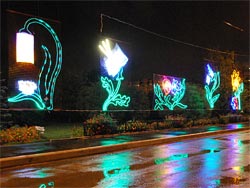 В Тольятти повторят выставку электрокартин "Цветущий ток"