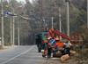 Сгоревший в Тольятти лес будут убирать три года