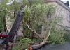 В столице Самарской области рухнувший тополь обрушил два балкона жилого дома