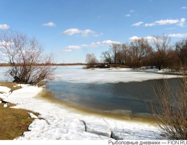 В реках Костромской области начался подъем воды