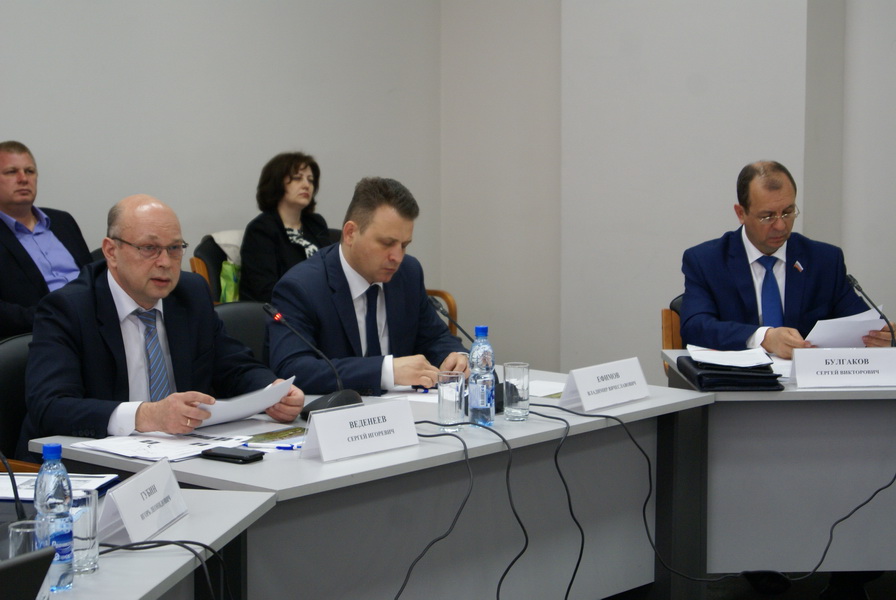 Волгоградские парламентарии встретились с бизнес-миссией Республики Марий Эл